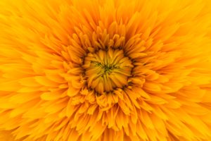 Image d'illustration libre de droit. Unsplash