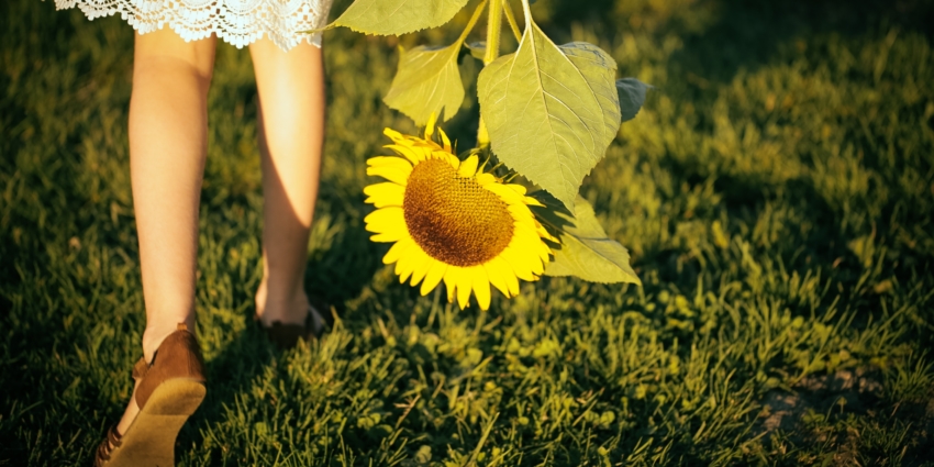 Pour le climat, tous concernés, tous acteurs !