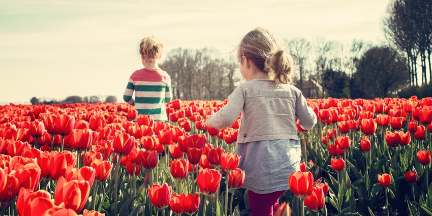 ALSH itinérant : réservez vos vacances de printemps !