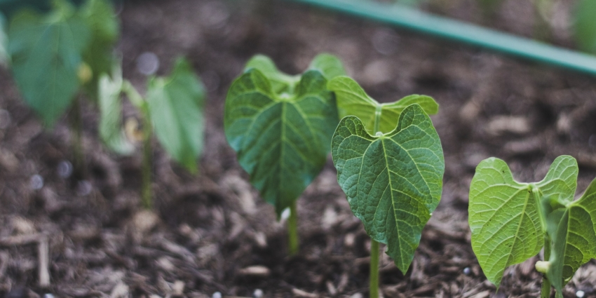 PLUi : réunion d’échange sur les espaces naturels et agricoles