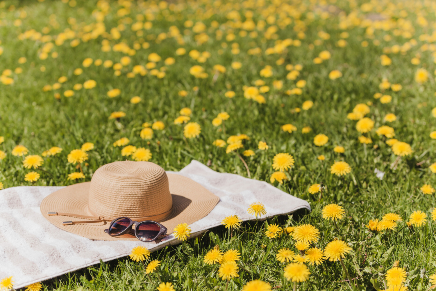 Vacances de printemps 2026 : le guide des animations Ados est disponible !