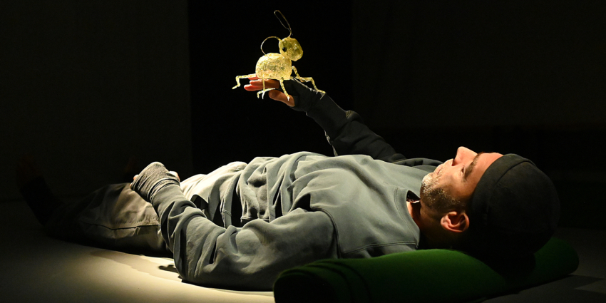 Minimus – Théâtre d&rsquo;ombres et d&rsquo;objets (Compagnie Le Bruit des Ombres)