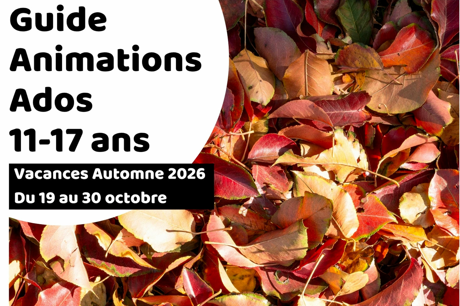 Vacances d’automne : le plein d’aventures et de frissons pour les 11-17 ans !