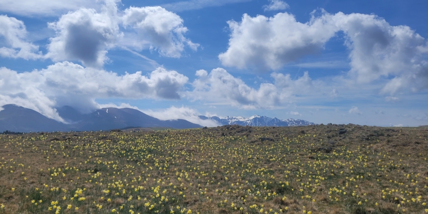 Conférence : « Le réchauffement climatique du Sancy à la Limagne : comprendre les constats et les perspectives »